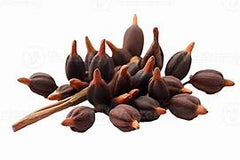 Clove Bud Essential Oil 30ml