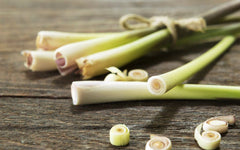 Lemongrass Essential Oil 30ml